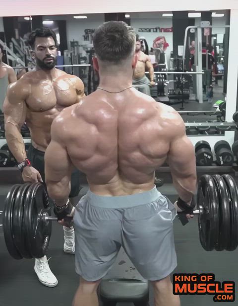 Massive back