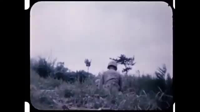 M4 Sherman "Zippo" tank works over an entire swath of woods with fire on