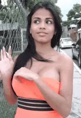 Indian Tits gif