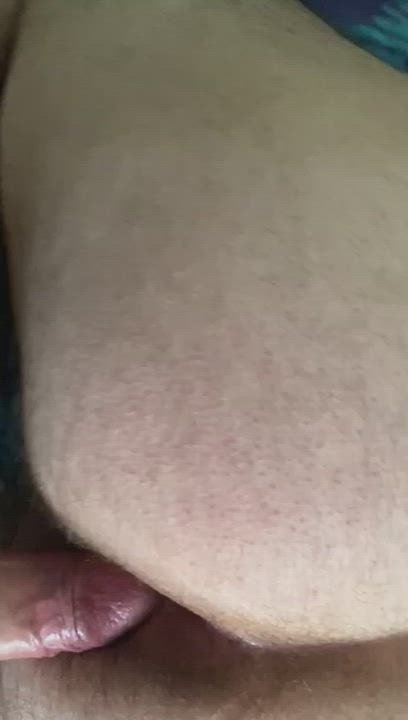 Anal Bareback Bear Daddy Gay gif