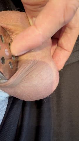 butt plug chastity cum leaking sissy sissy slut microchastity gif