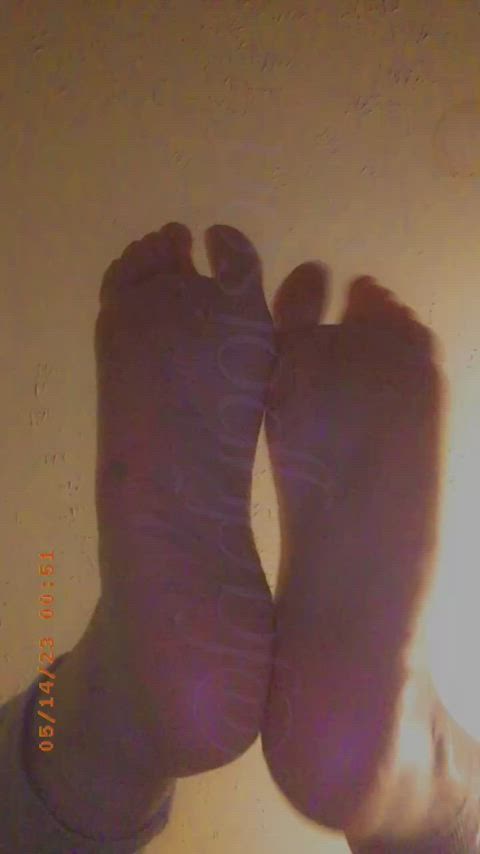 feet feet fetish findom soles gif