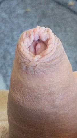 Penis Thick Cock Uncut gif