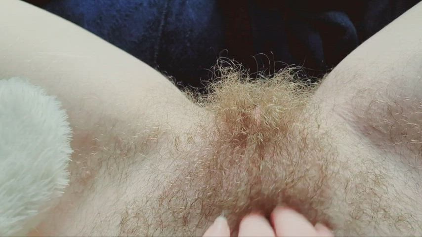 Hairy Hairy Pussy Pussy Teasing gif