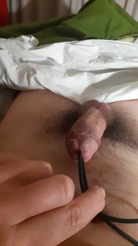 big dick cock masturbating solo sounding gif