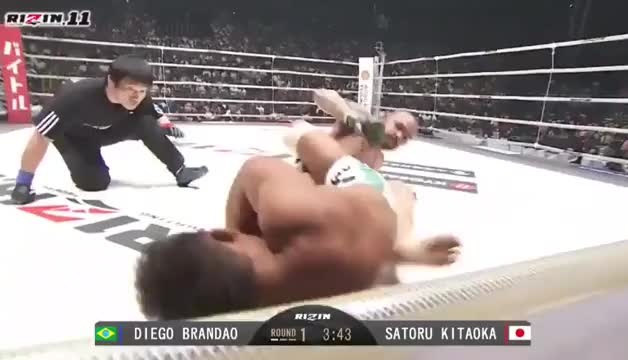 Diego Brandao sleeps Satoru Kitaoka with hammerfists (RIZIN 11)