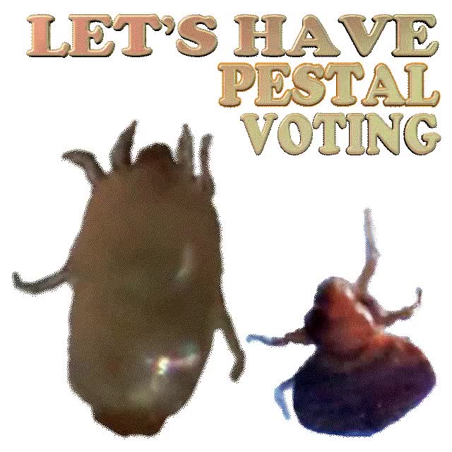 Pestal voting sticker
