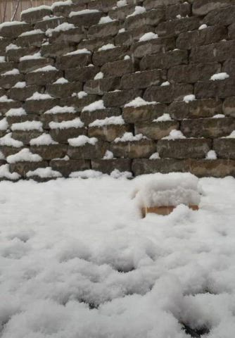 Squatting outside, melting the snow ?