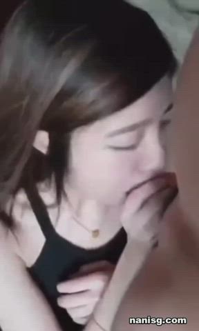 Asian Blowjob Japanese Korean Sucking Teen gif