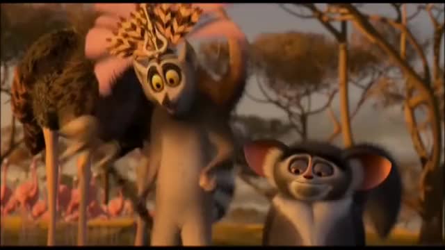 King Julien Professional whistler