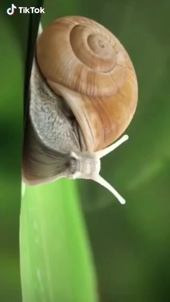 In the next 20,000 years, science and technology will be flooding. Snails were forced