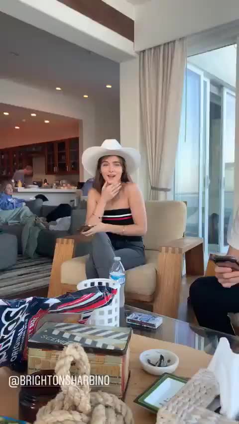 Brighton Sharbino