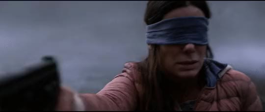 BIRDBOX 6