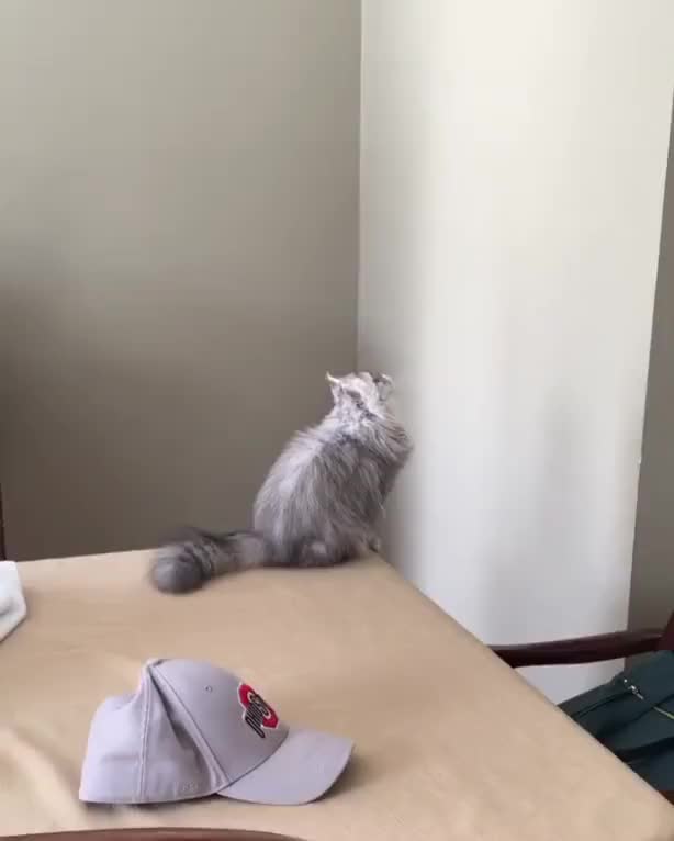HMC while I attack nothing