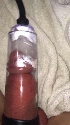 amateur hardcore penis pump gif