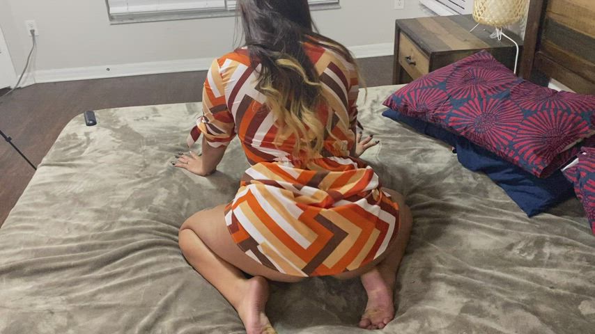 Big Ass Latina Pussy gif