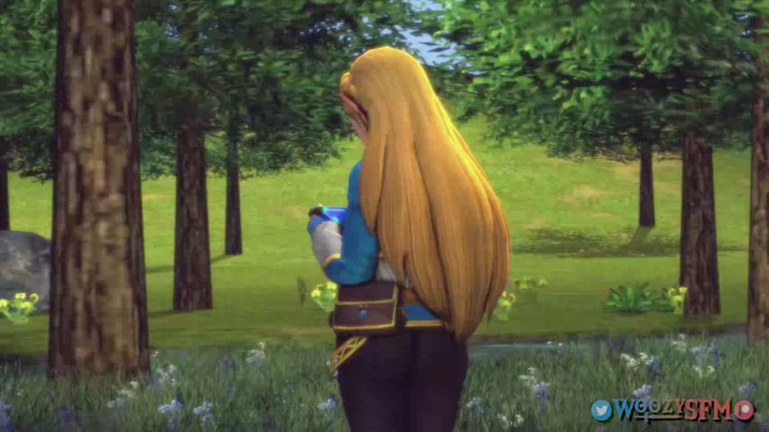 animation petite princess zelda uncensored animated-with-sound gif