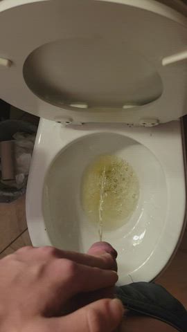 Penis Piss Toilet gif