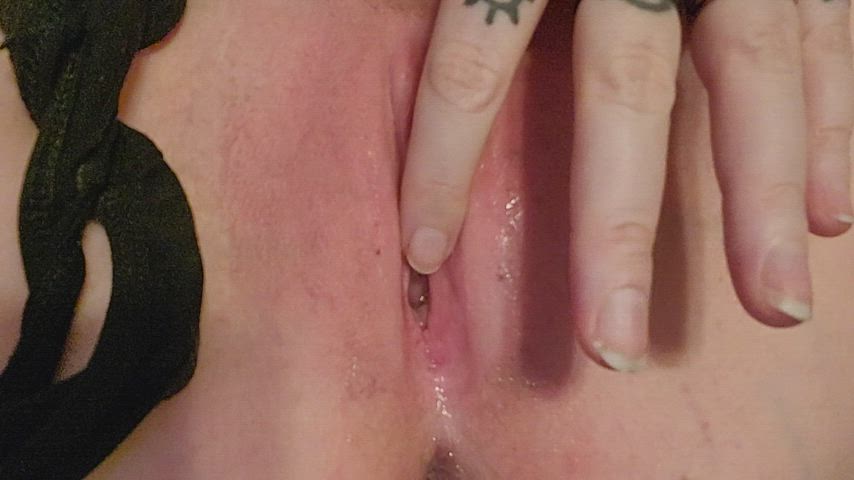 bisexual pussy lips pussy spread wet pussy gif