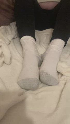 feet feet fetish foot foot fetish foot worship socks soles toes gif