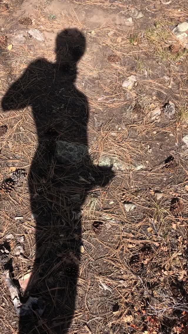 Has anyone ever jerked of to their own shadow?