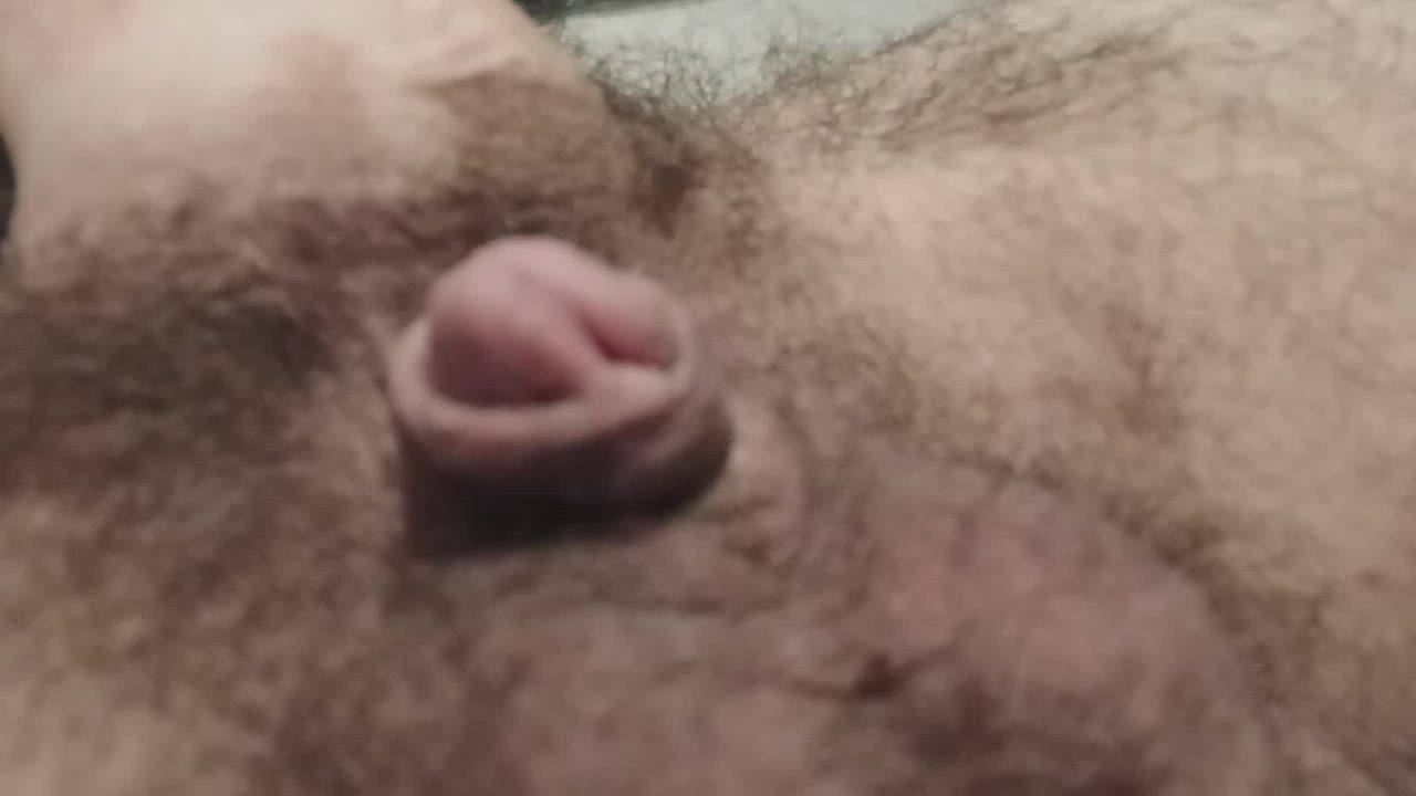 Watch my dick grow. (Reposting with a better link)