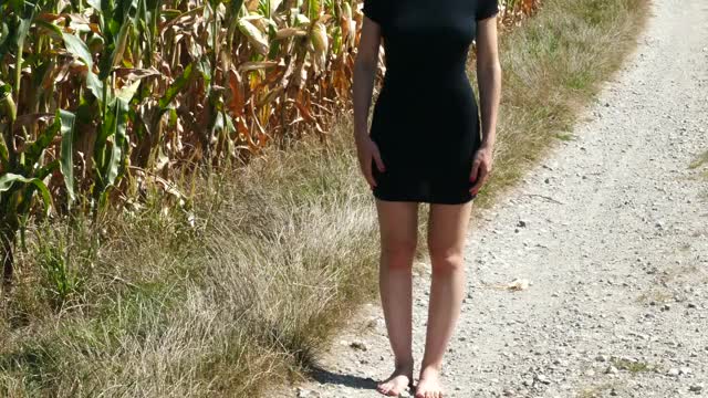 Got a bit adventurous walking by the cornfield...[f]