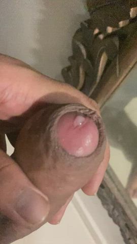 dripping precum thick cock gif