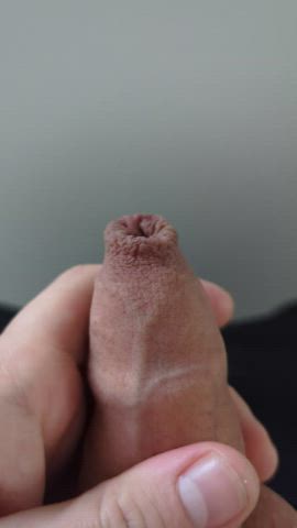 close up foreskin penis gif