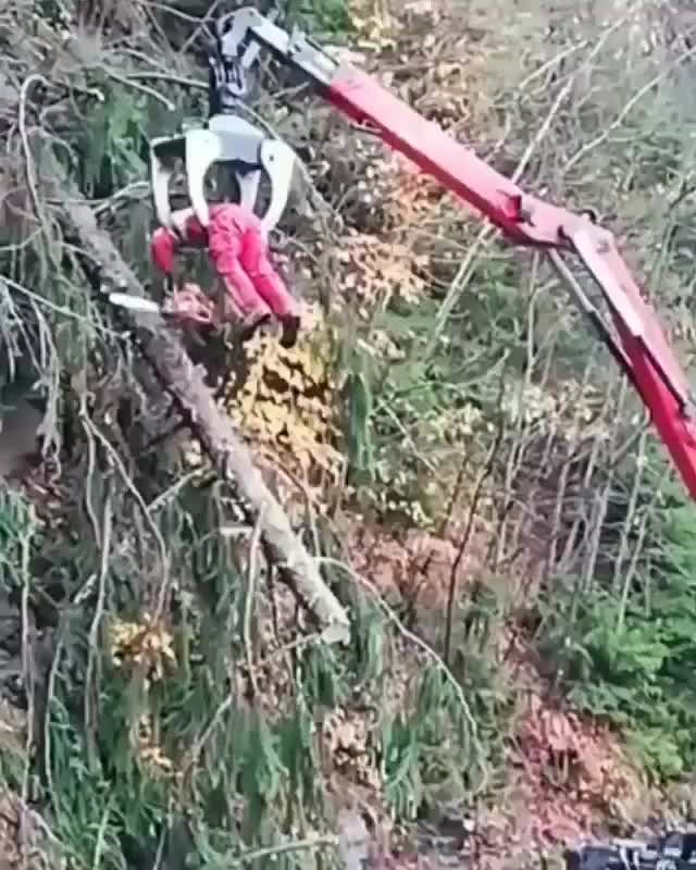 OSHA, WTF is that ?