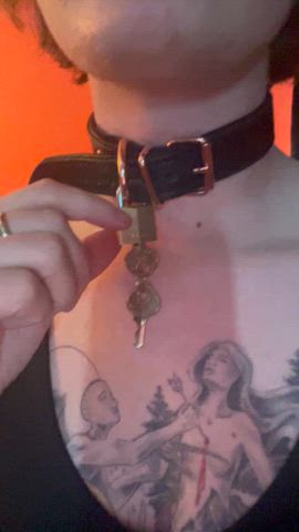 Locked my collar on for my owner~