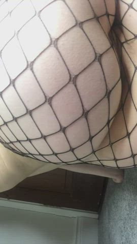 ass fishnet pussy gif