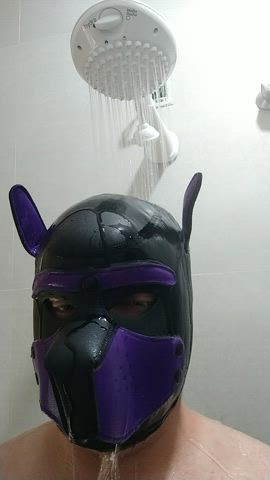 fetish mask puppy shower gif