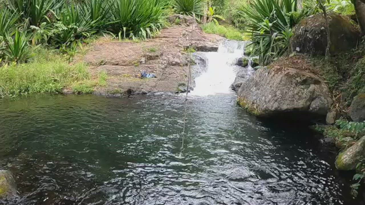 What if you walked up to the swimming hole and found this?