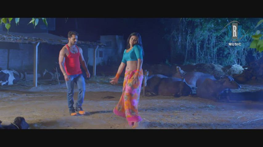Dancing Saree Seduction gif