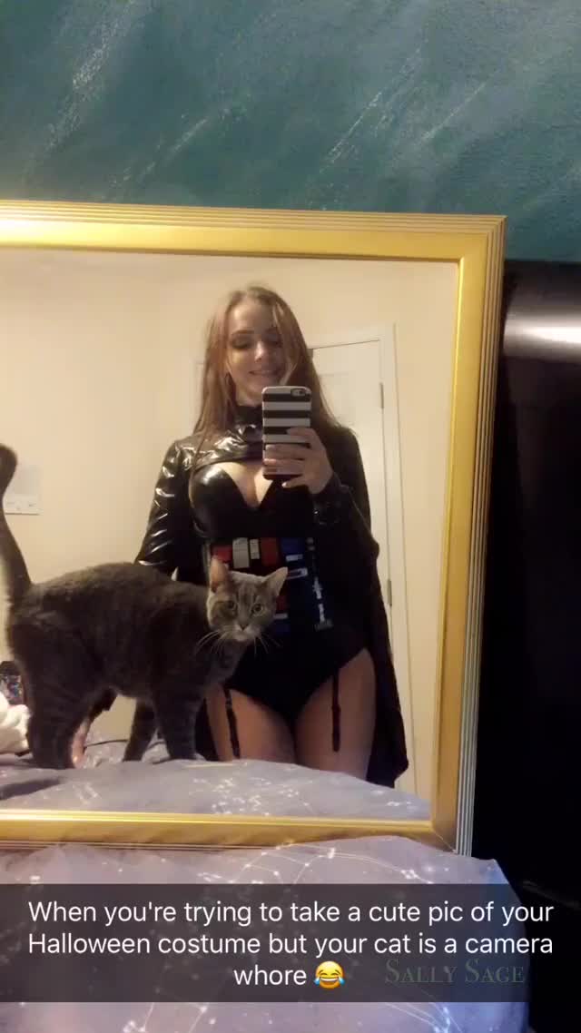 Finally found a community MADE for me. My cats are bigger camera sluts than I am.