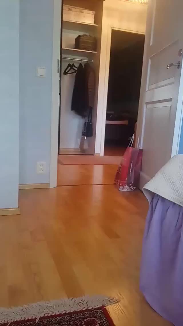 Busy girl pops by for a quick zoomie