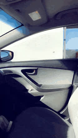 Big Dick Car Trans gif