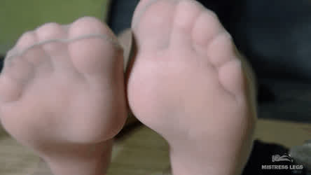 Feet Foot Foot Fetish Foot Worship Nylons Soles Stockings Teasing Toes gif