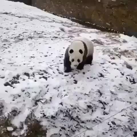 I have to go! My people need me!
