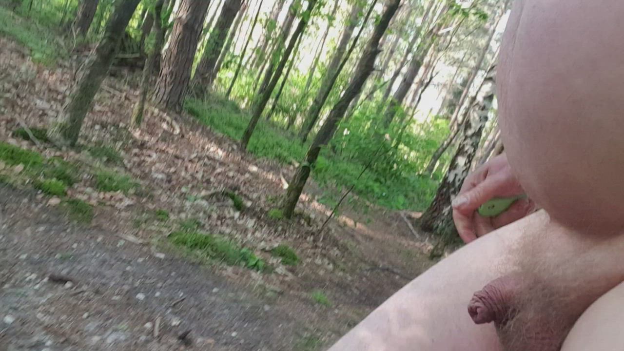 Summer walk