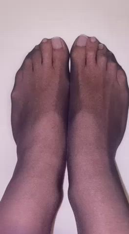 feet nylon pantyhose gif