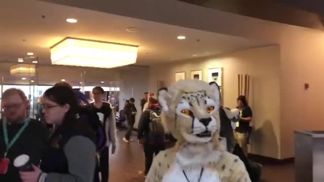 Ransu MFF 2018