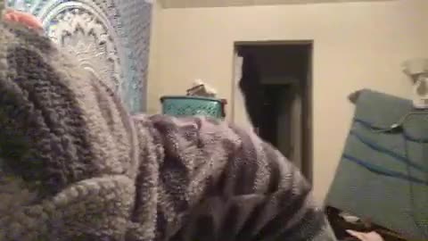 Kitty onesie twerk