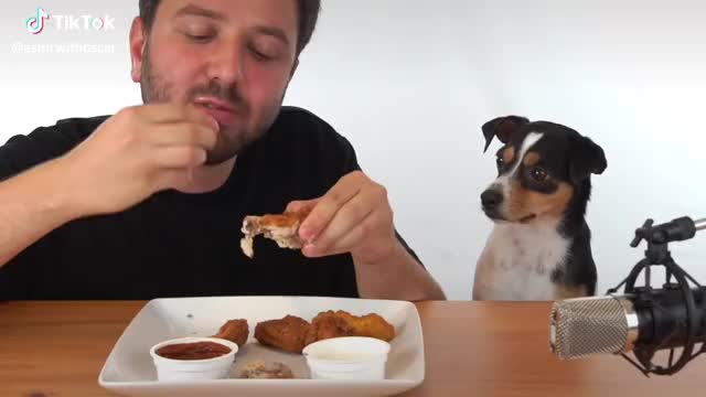 Do you prefer boneless or bone-in wings? #asmreating #foodasmr #dogasmr #asmr #fullsend