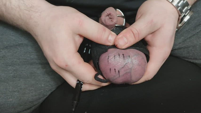 Ballbusting CBT Chastity Virgin gif