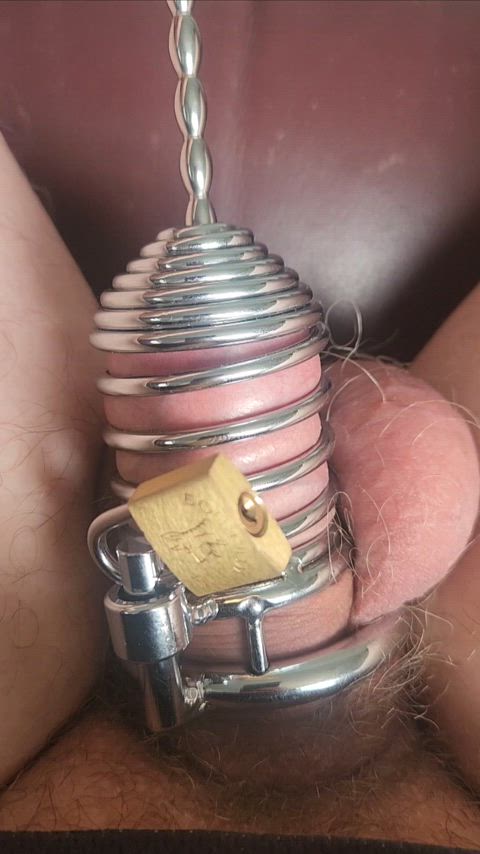 Chastity GIF by privacy_puller