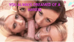 You dreamed about a harem