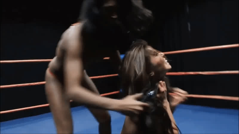 akira lane asian big tits bikini brunette wrestling gif