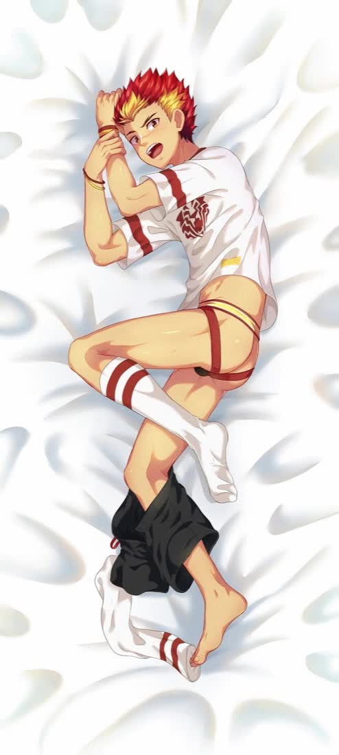 Taiga dakimakura back a